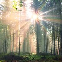 Kišilo je nad Brestom