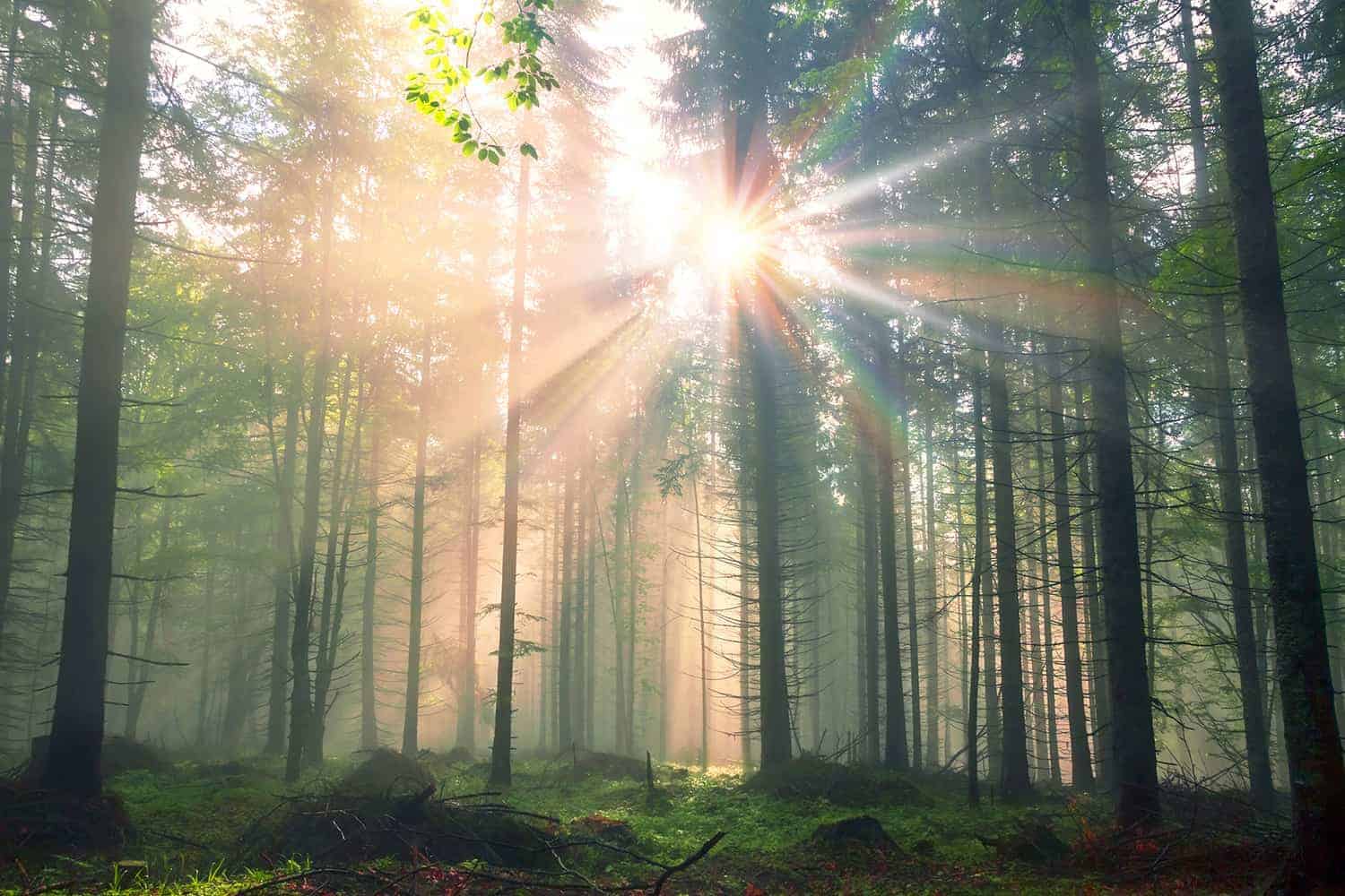 Kišilo je nad Brestom